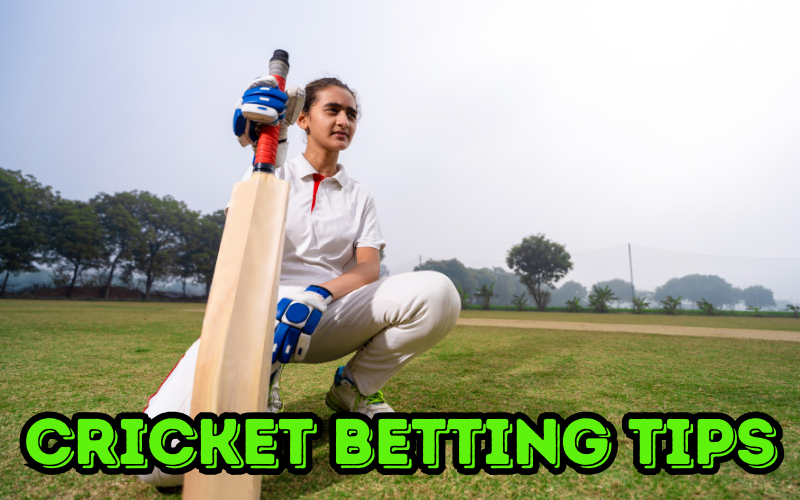 cricket betting