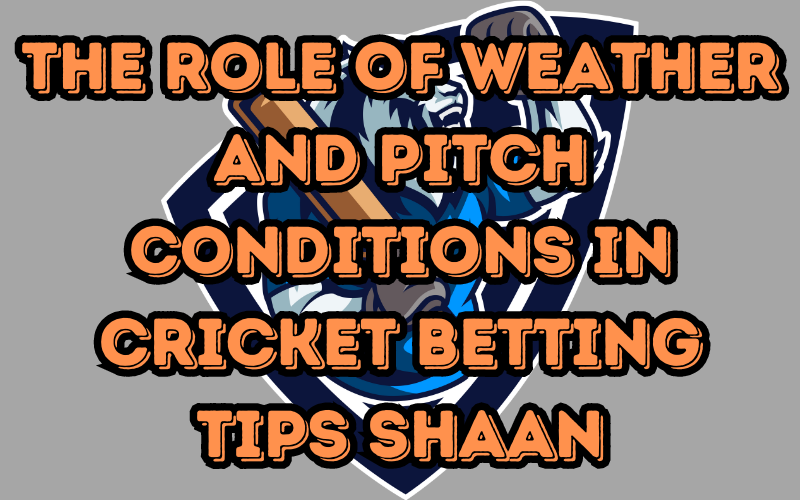 Cricket Betting Tips Shaan: The Role of Weather and Pitch Conditions