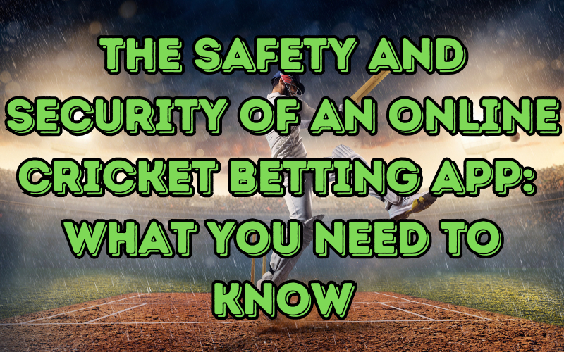 The Safety and Security of an Online Cricket Betting App: What You Need to Know