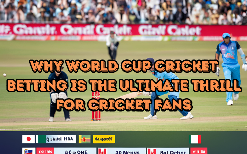 Why World Cup Cricket Betting Is the Ultimate Thrill for Cricket Fans